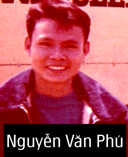 NguyenVanPhu