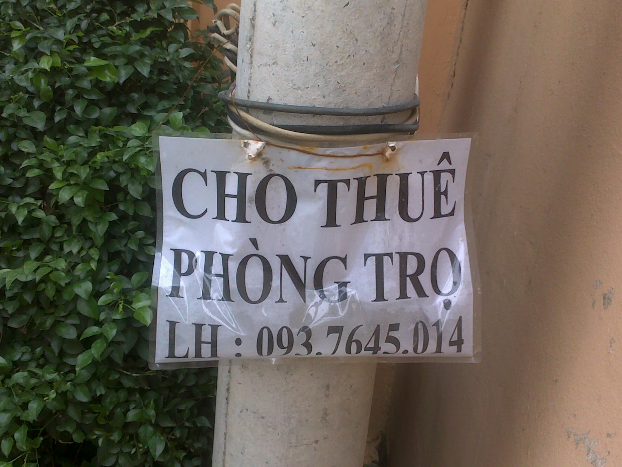 CHO THUE PHONG TRO