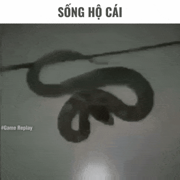 GIF 241114 152844