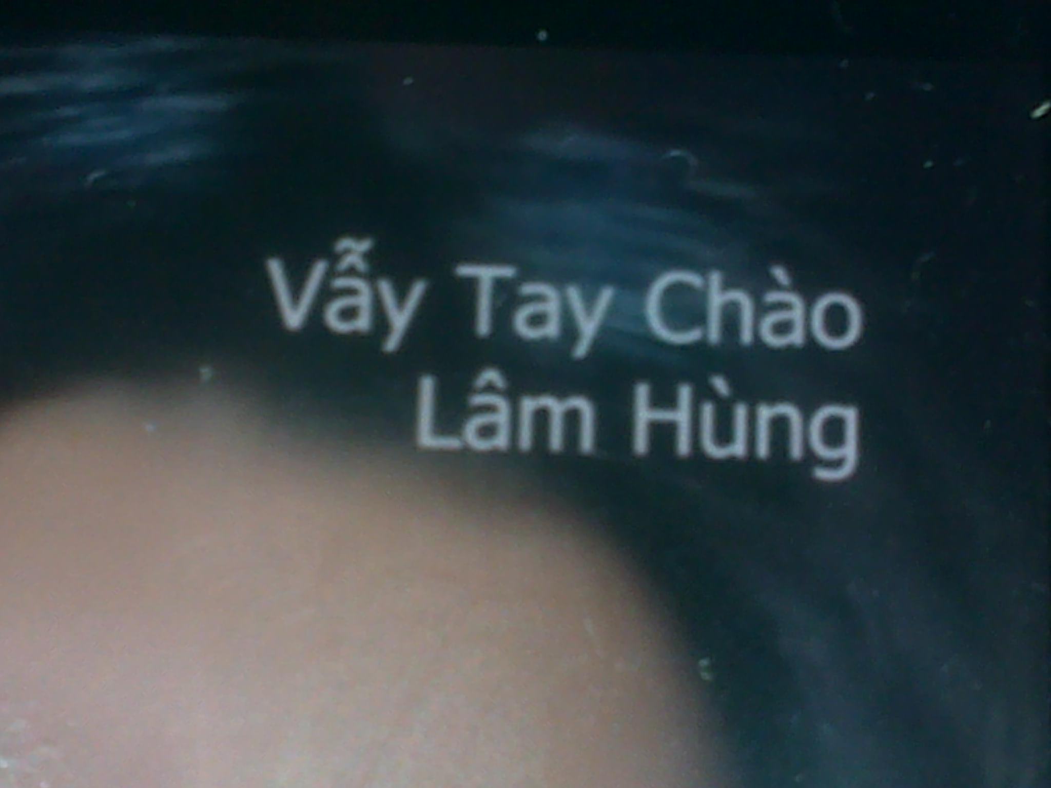 Vay.Tay.Chao.Lam.Hung