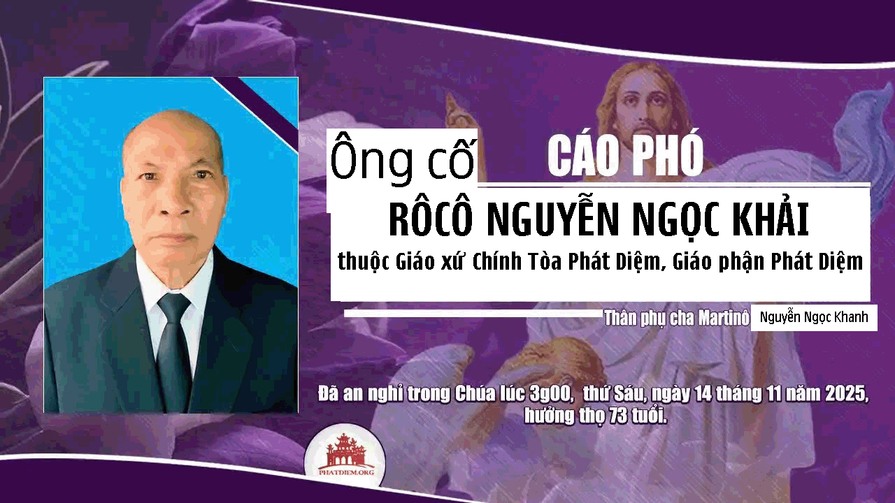 ROCO NGUYEN NGOC KHAI 3