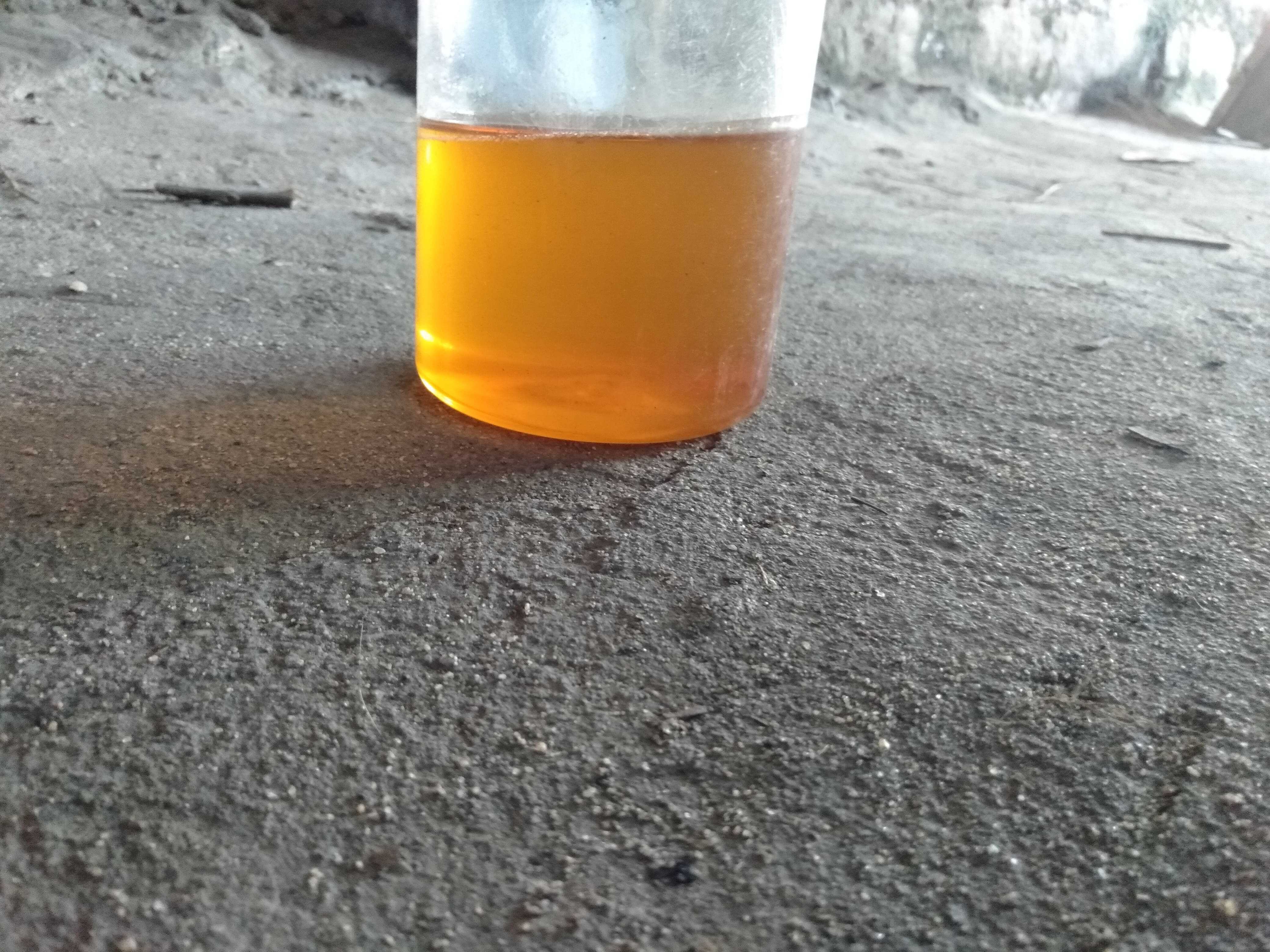 img20240310143946 min optimized