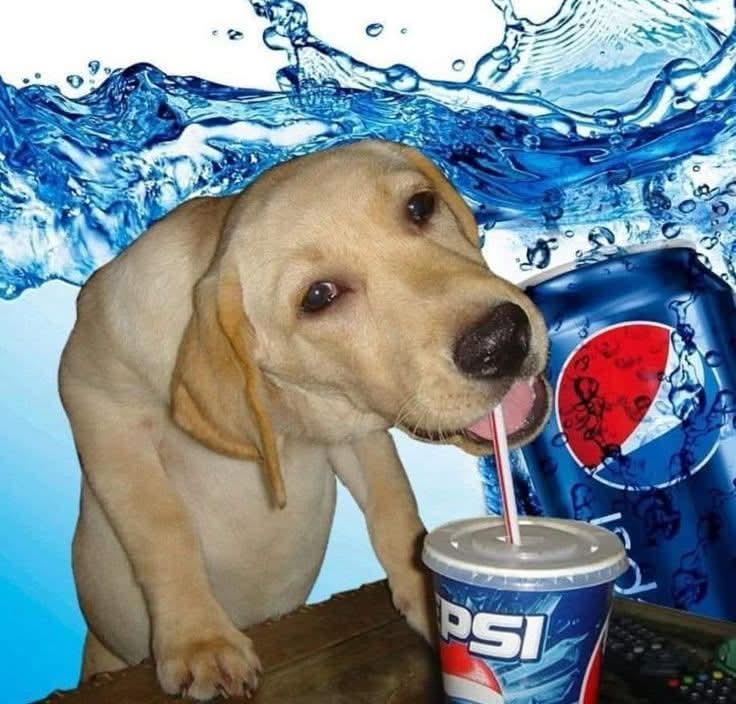 FB IMG 1749815842910