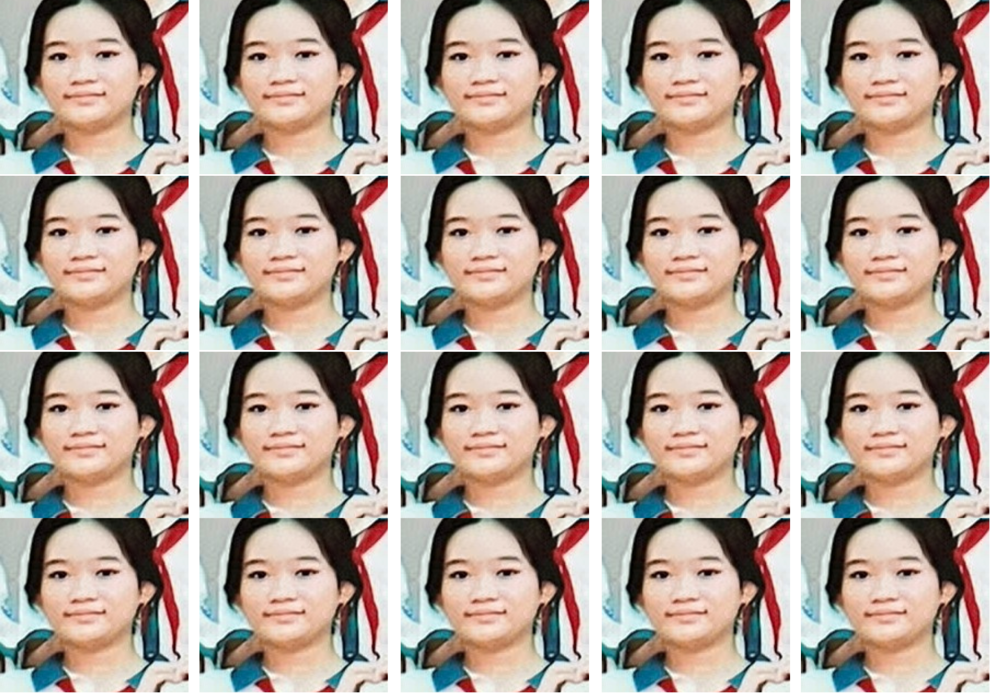Minh Hang