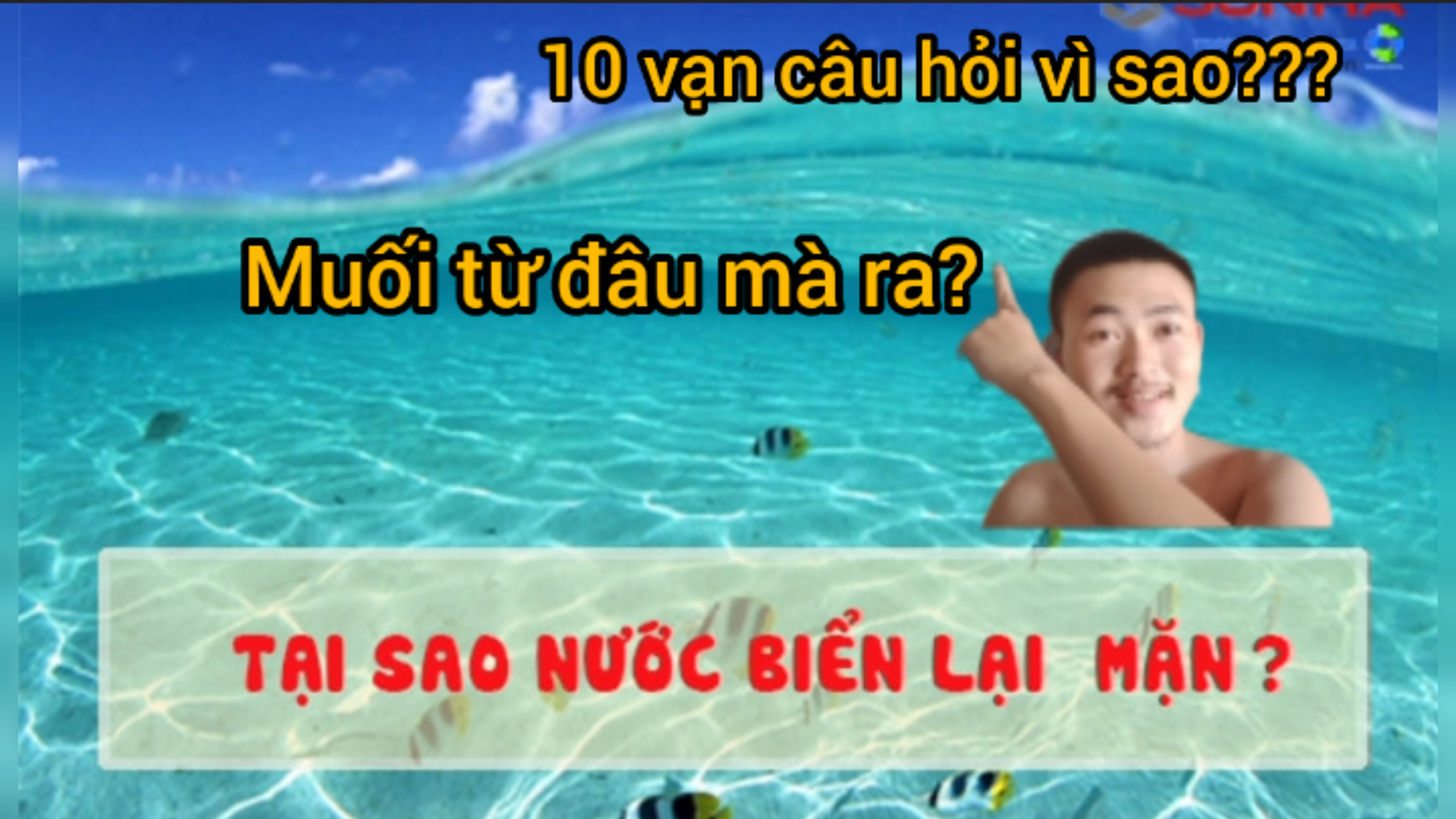 InShot 20240720 141018580