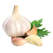 images  1  removebg preview