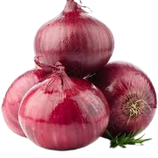 images removebg preview