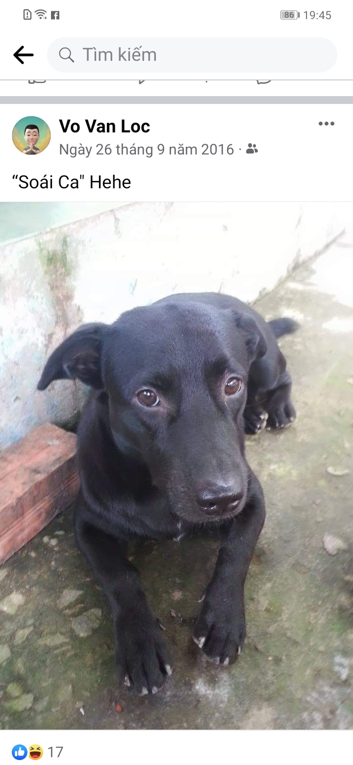 Screenshot 20230801 194512 com.facebook.katana