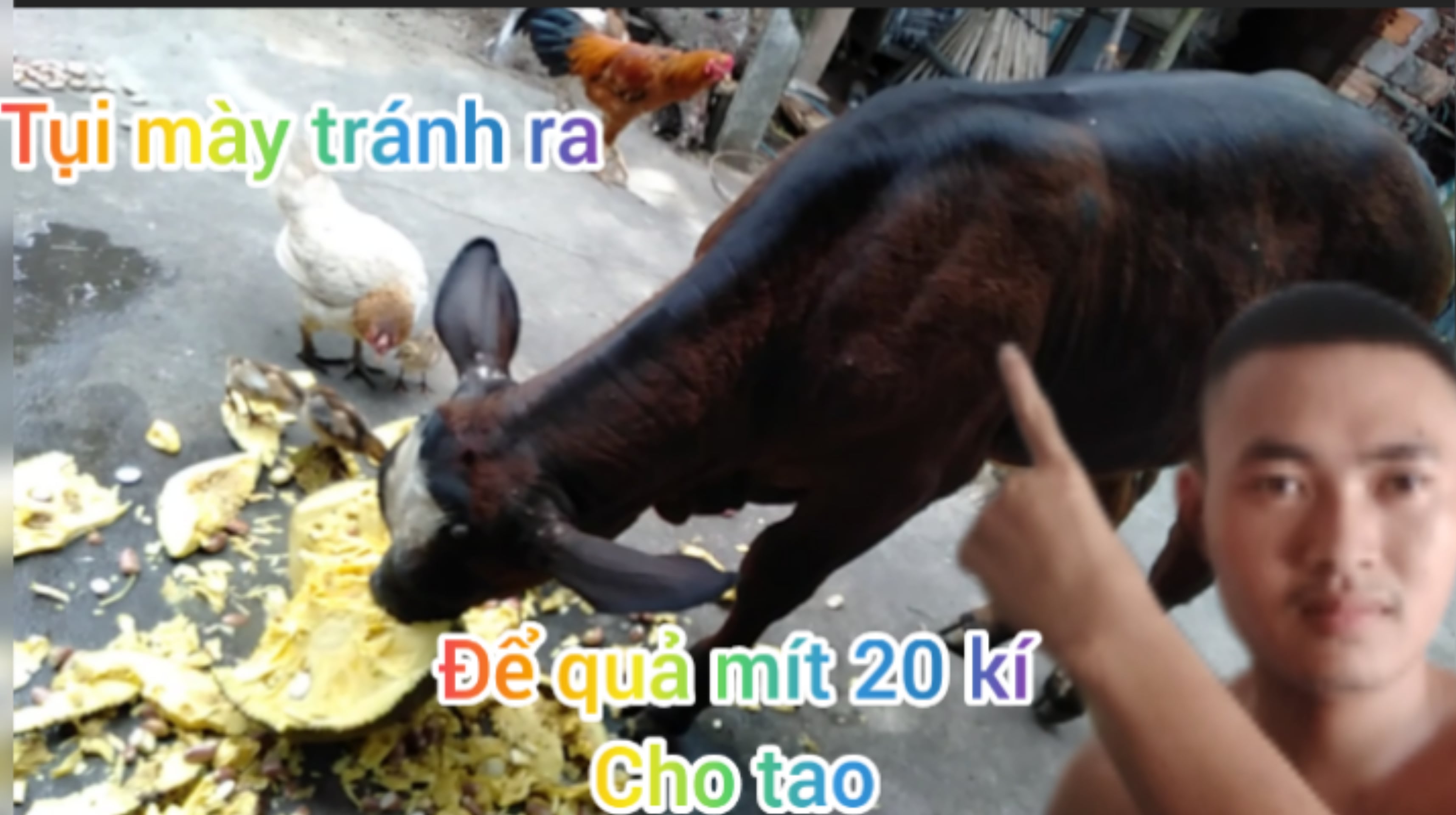 InShot 20240610 134202800 min